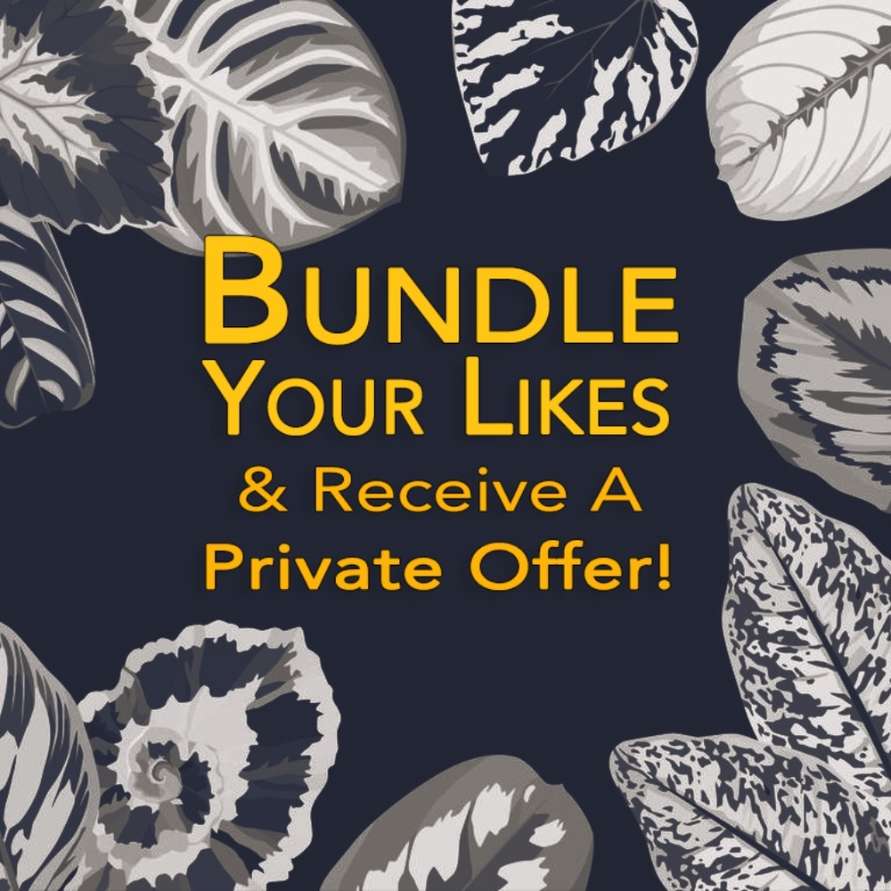Add 2+ Likes to a Bundle!